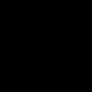 Meet your Posher, Dolores